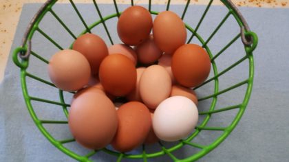 Free Range Chicken Eggs - Image 2